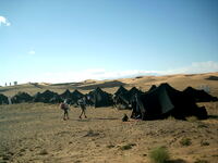 Beduinen-Zeltlager beim MDS, Bild von Hubert Beck, Autor Bild 2